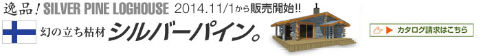 幻の立ち枯材シルバーパイン販売開始11/1から