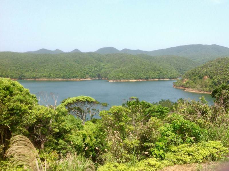 写真：[売土地]東村川田