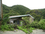 写真：東村