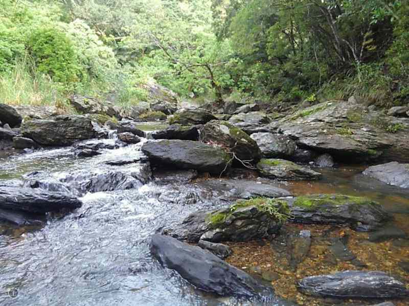 写真：[売土地]東村高江