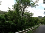 写真：[売土地]東村高江