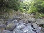 写真：[売土地]東村高江